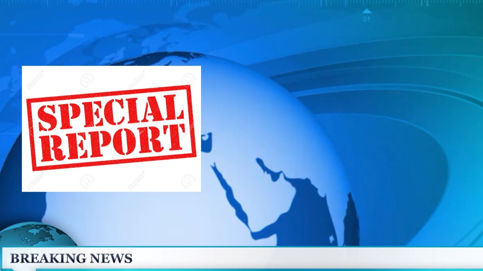 Special Report